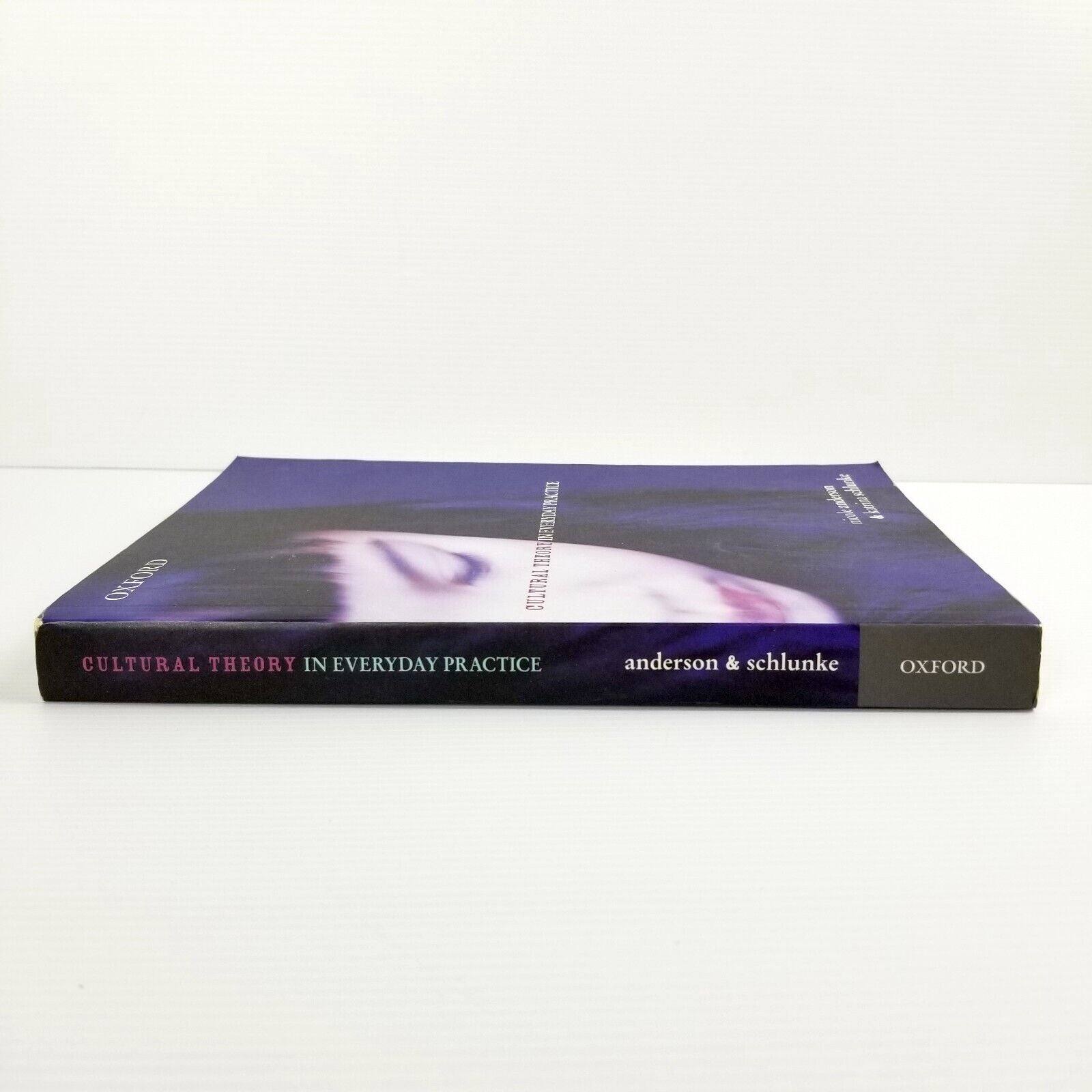Cultural Theory in Everyday Practice Katrina Schlunke Nicole Anderson Textbook