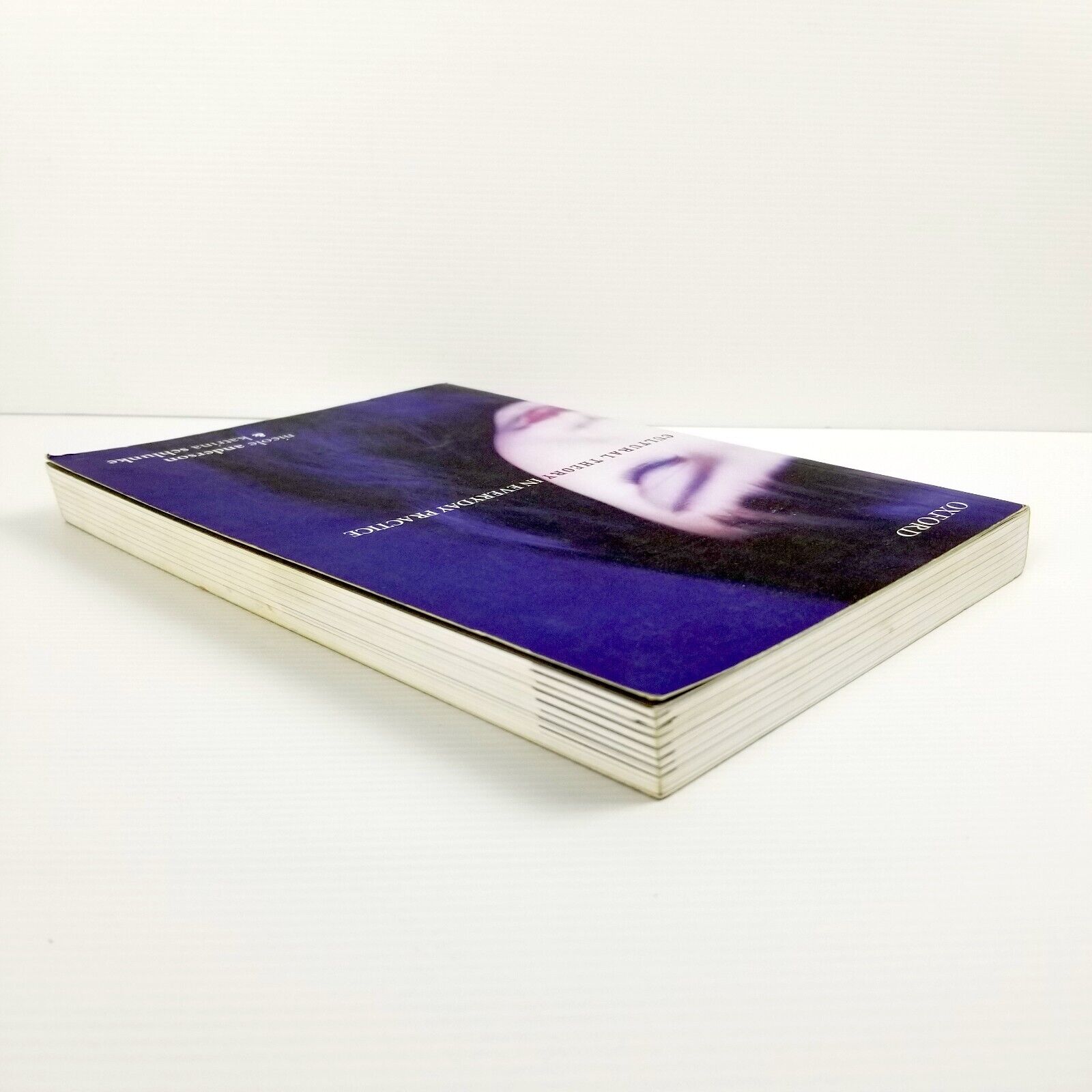 Cultural Theory in Everyday Practice Katrina Schlunke Nicole Anderson Textbook