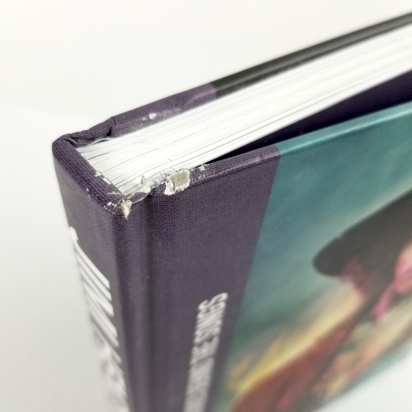 Jimi Hendrix: The Stories Behind the Songs by David Stubbs (Hardcover 2020)