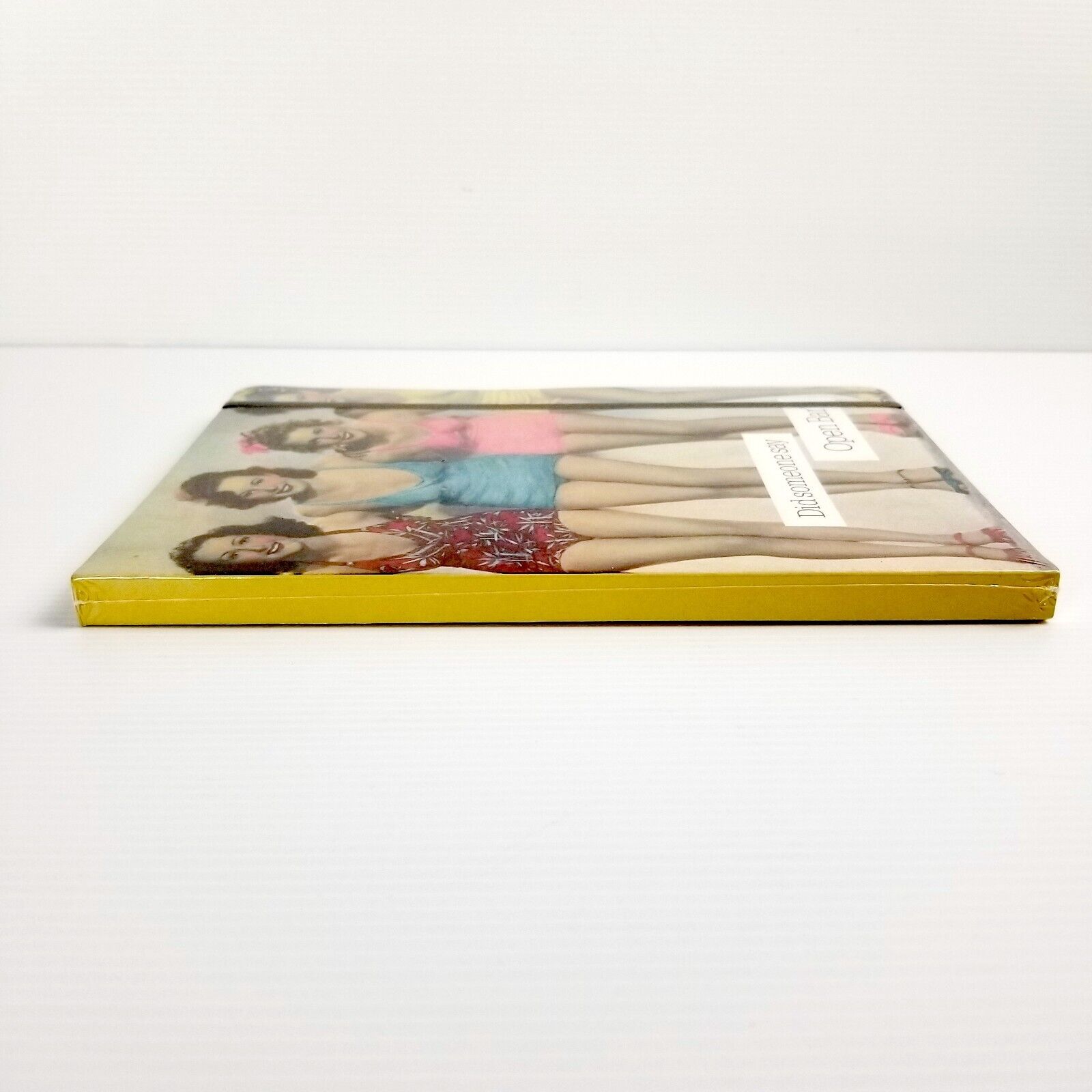 "Did Someone Say Open Bar" Journal Retro Women Paperback Writing Diary Notebook