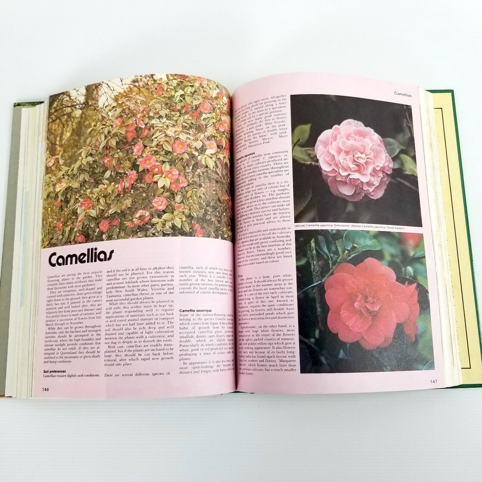 The Australian Gardening Book The Complete Home Garden Guide by RTM Pescott