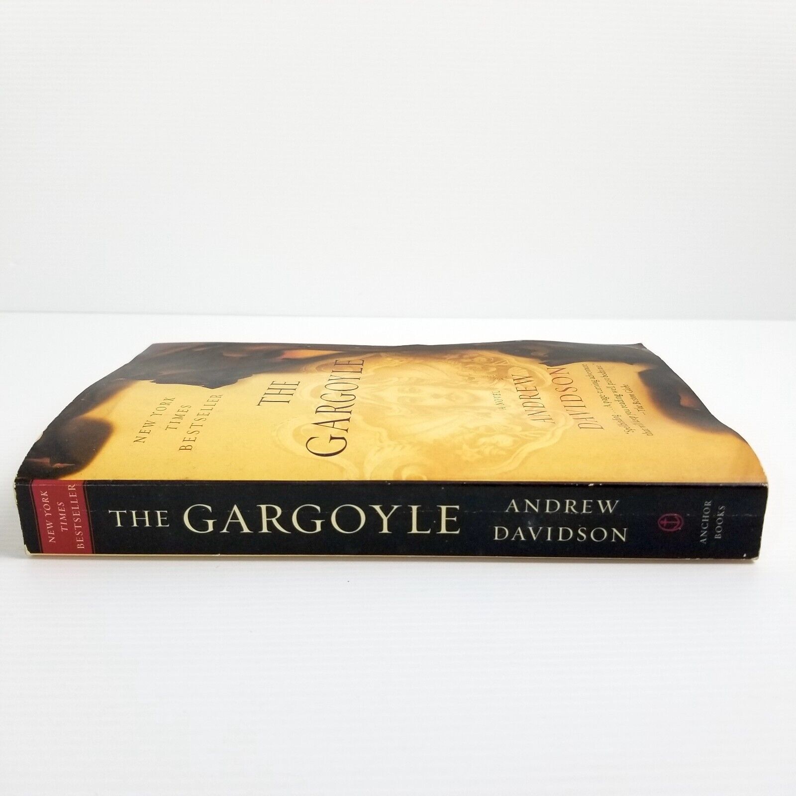 The Gargoyle by Andrew Davidson (Paperback 2009) Mystery Thriller Ghosts Fiction