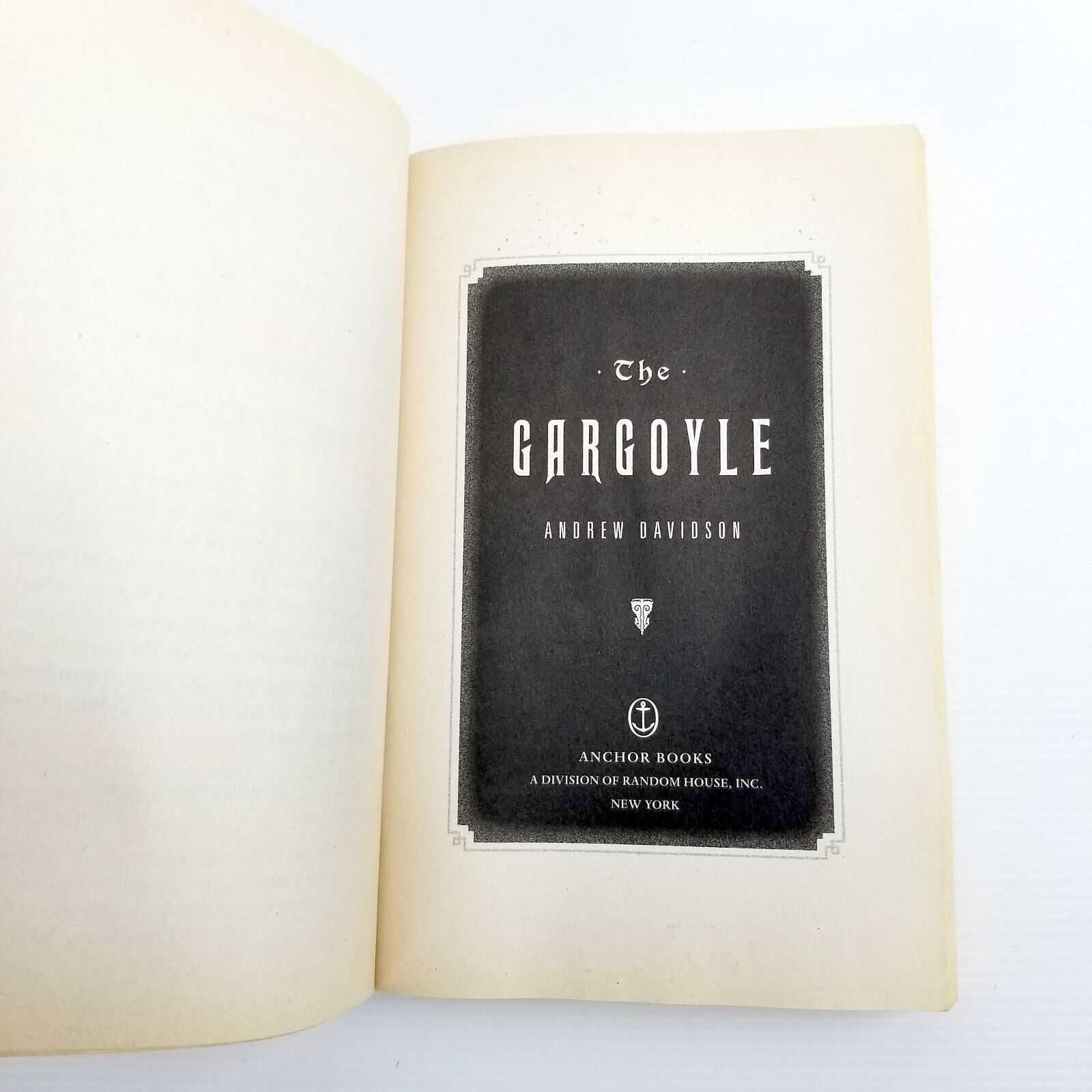 The Gargoyle by Andrew Davidson (Paperback 2009) Mystery Thriller Ghosts Fiction