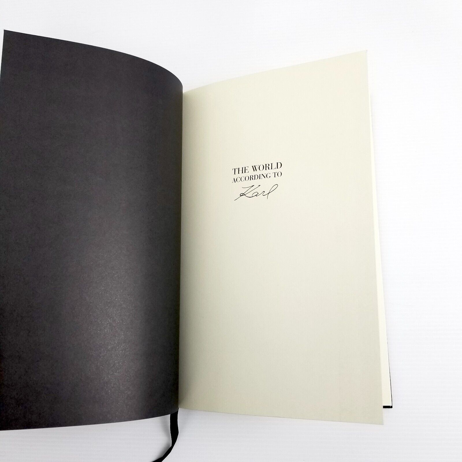 The World According to Karl: The Wit and Wisdom of Karl Lagerfeld Hardcover 2013