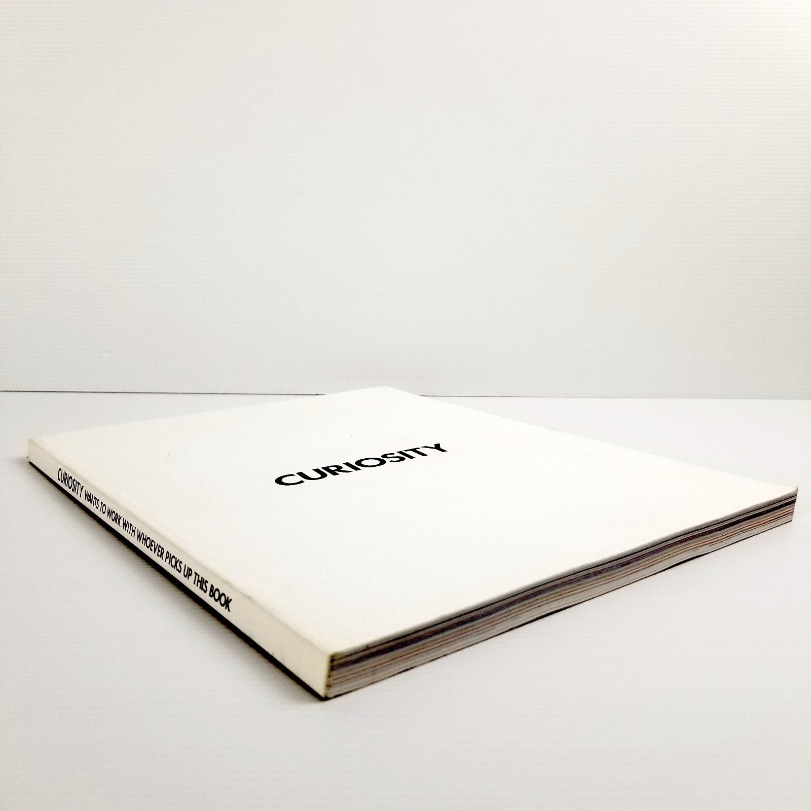 Rare Curiosity Magazine/Book by Yu Yamaki (2014) English Japanese Art Culture