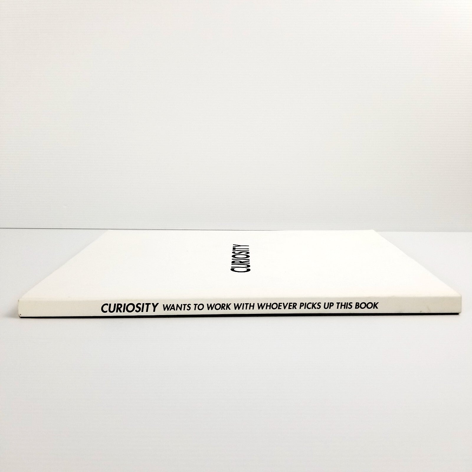 Rare Curiosity Magazine/Book by Yu Yamaki (2014) English Japanese Art Culture