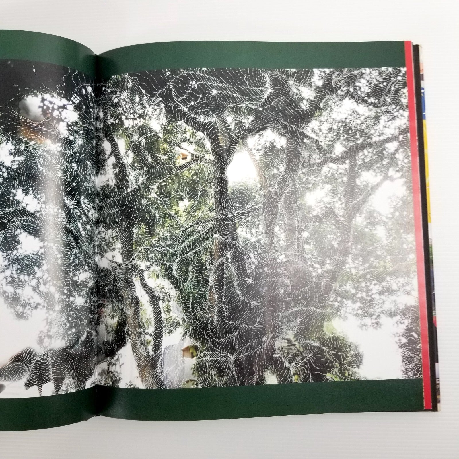 The Art Of Buying Art: Demystifying The Process Of Finding, AppreciatingAnd...