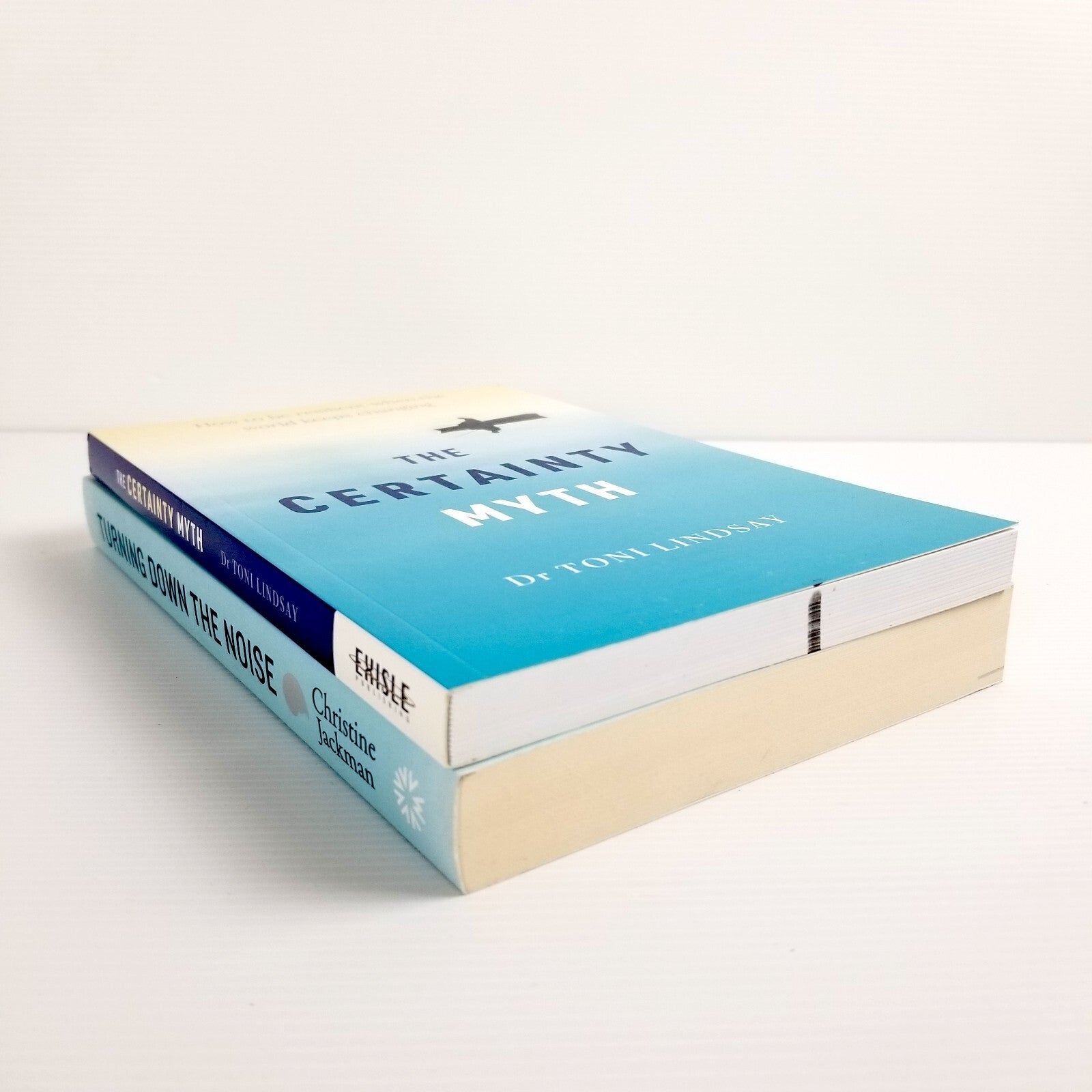 2x Self-Help Book Bundle Turning Down the Noise & The Certainty Myth Paperback