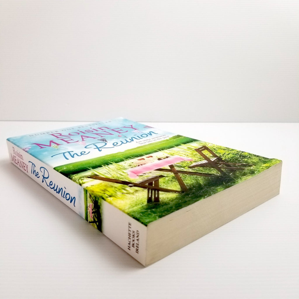 The Reunion by Roisin Meaney (2016, Paperback) Romance Chick Lit Fiction Novel
