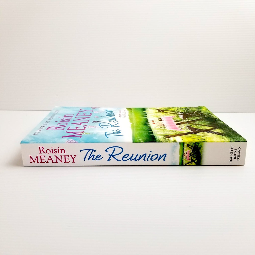 The Reunion by Roisin Meaney (2016, Paperback) Romance Chick Lit Fiction Novel