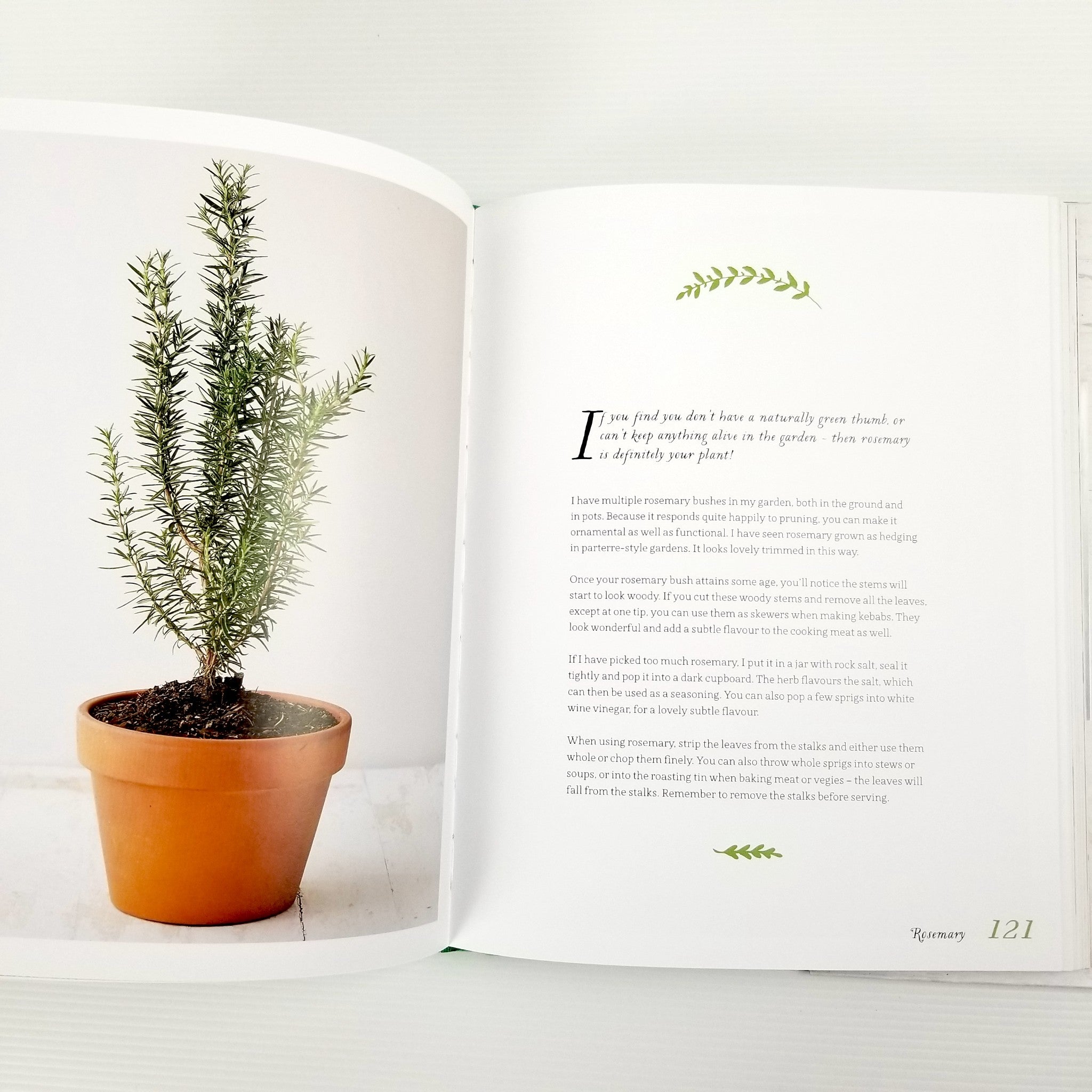 Courtyard Kitchen: Recipes and growing tips for herbs and potted fruits, N. Boog